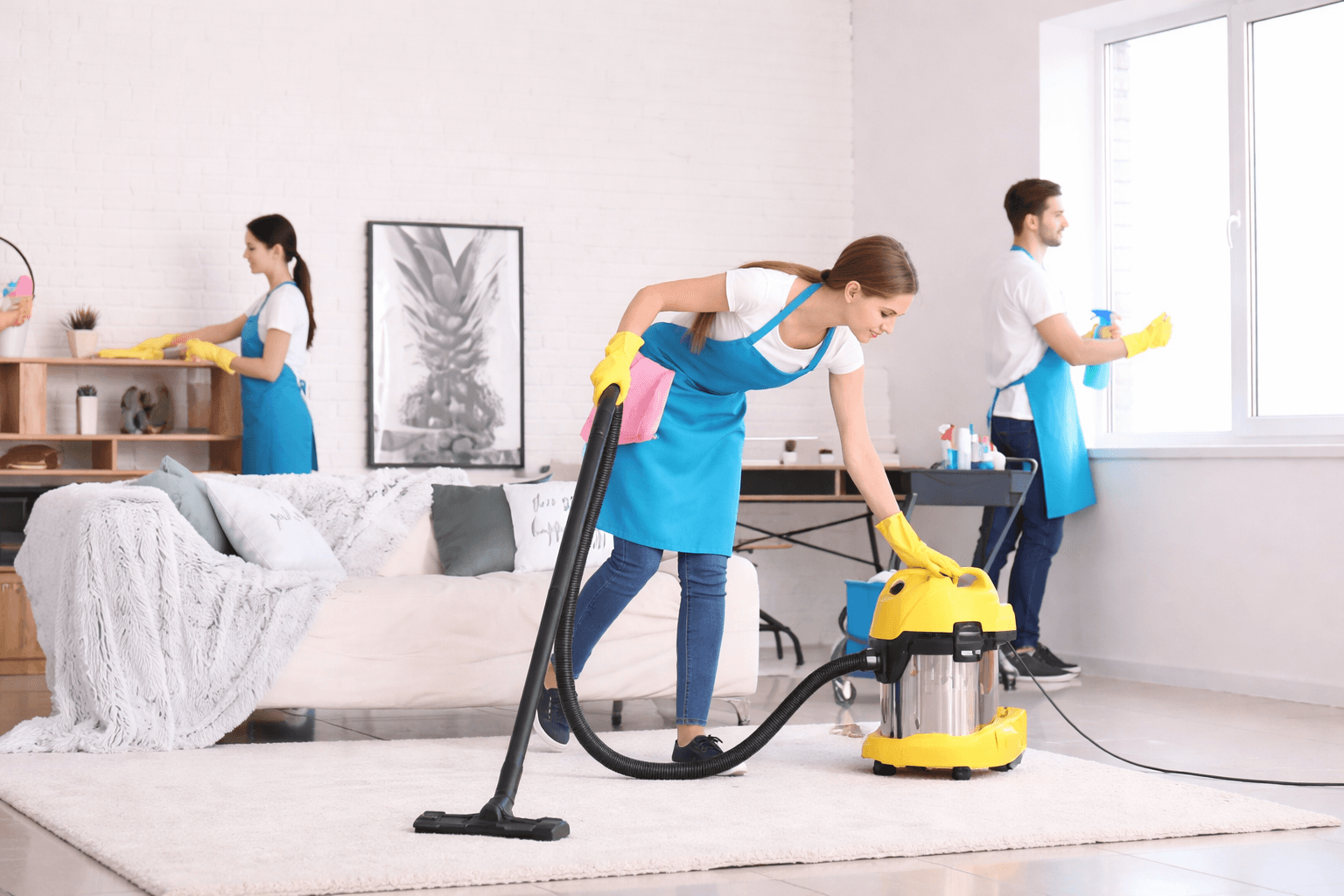 GENERAL CLEANING